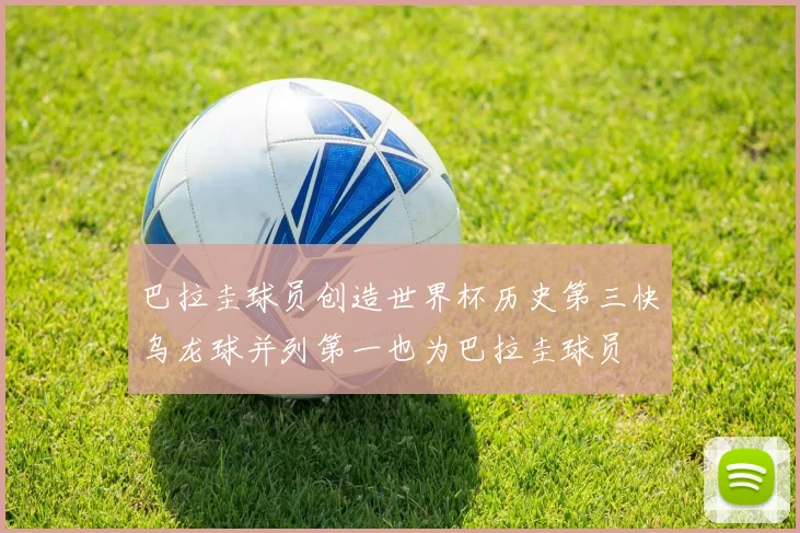 巴拉圭球员创造世界杯历史第三快乌龙球并列第一也为巴拉圭球员